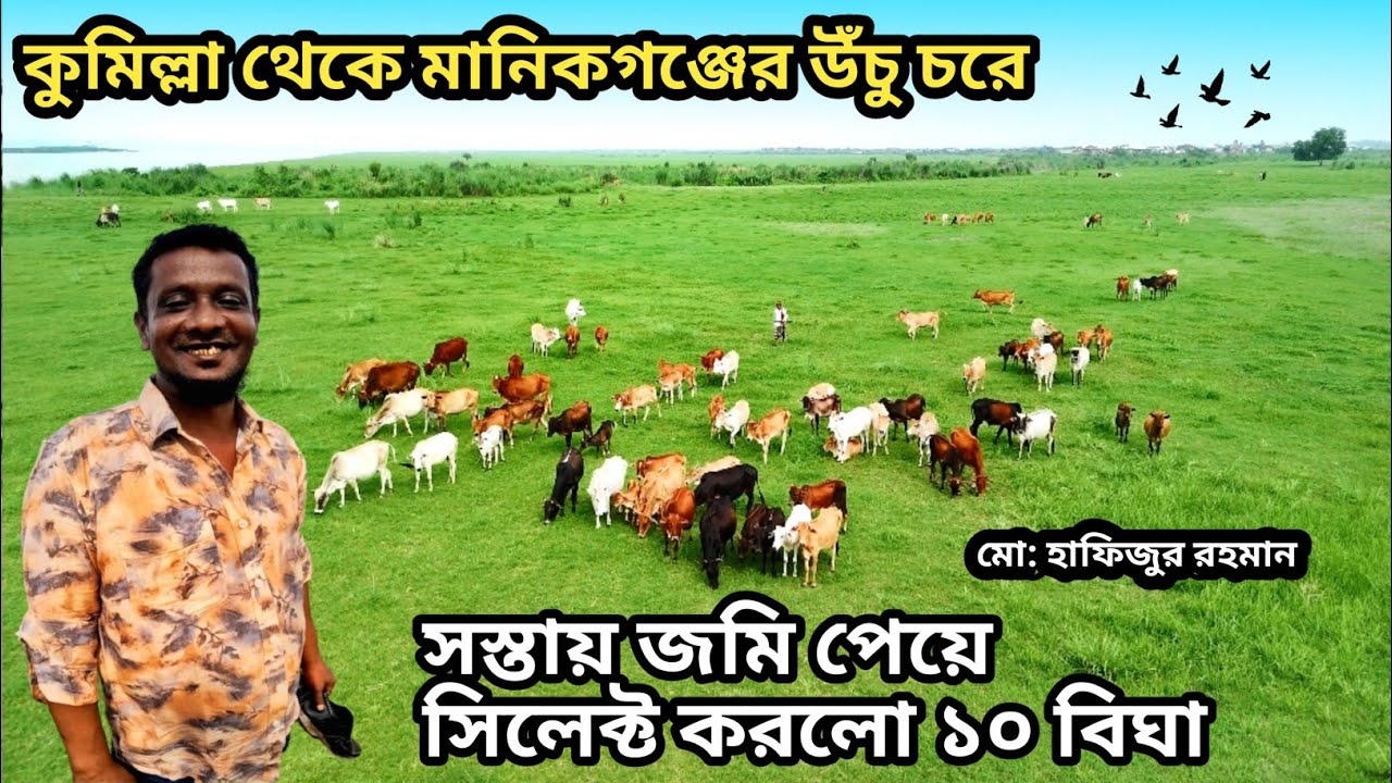 কুমিল্লা থেকে মানিকগঞ্জের উঁচু চরে সস্তায় জমি পেল ১০ বিঘা || @MatioManushbyRatan ||