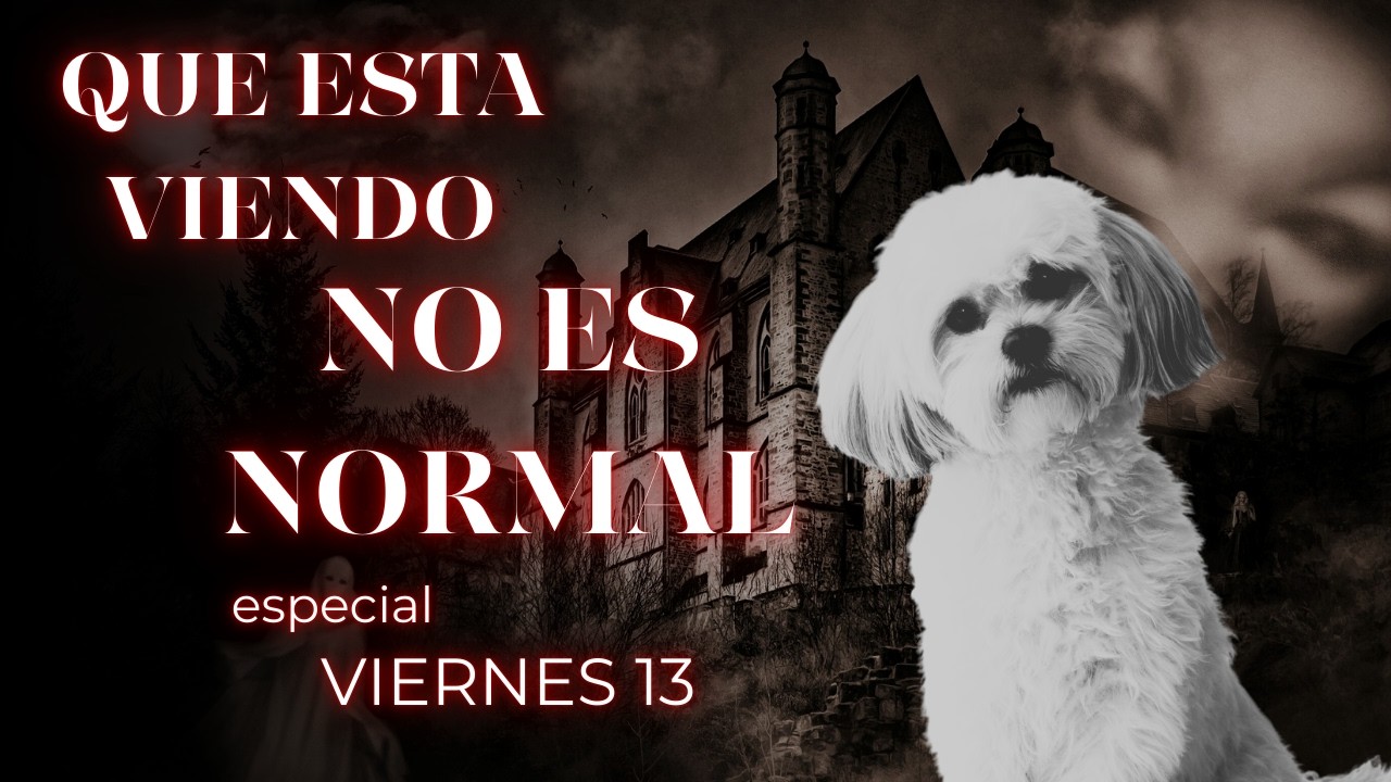 “El Lado Misterioso del Shih Tzu 😱 ¿Ven Cosas Que Nosotros No? | Especial Viernes 13”