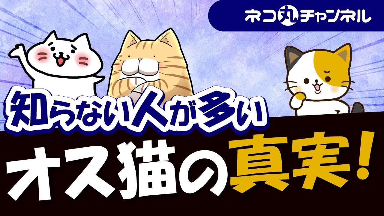 オス猫に見られる驚きの特徴と知られていない秘密とは？