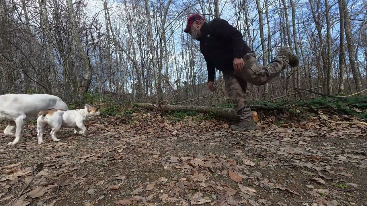 4K Dağ Evi Solo Bushcraft  Lada Niva