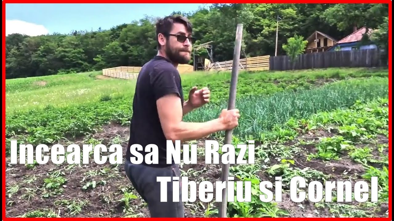 Încearcă Să nu Râzi varianta Tiberiu si Cornel | Try Not to Laugh #19