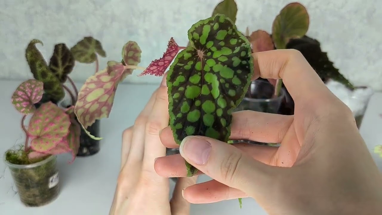 Всем огромный приветик👋 Первая распаковочка в этом году🥳🥳🥳