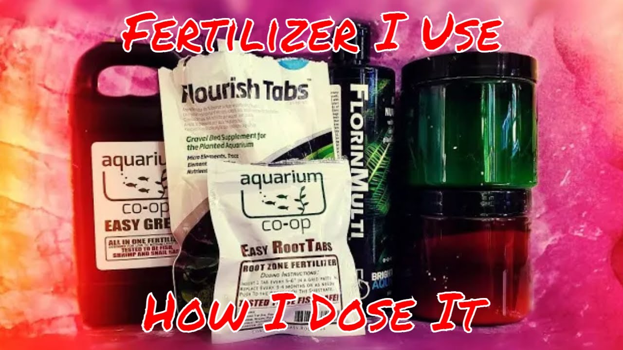 How I Dose Fertilizer for Planted Aquariums - Master Aquatic Horticulturist Pro Tips