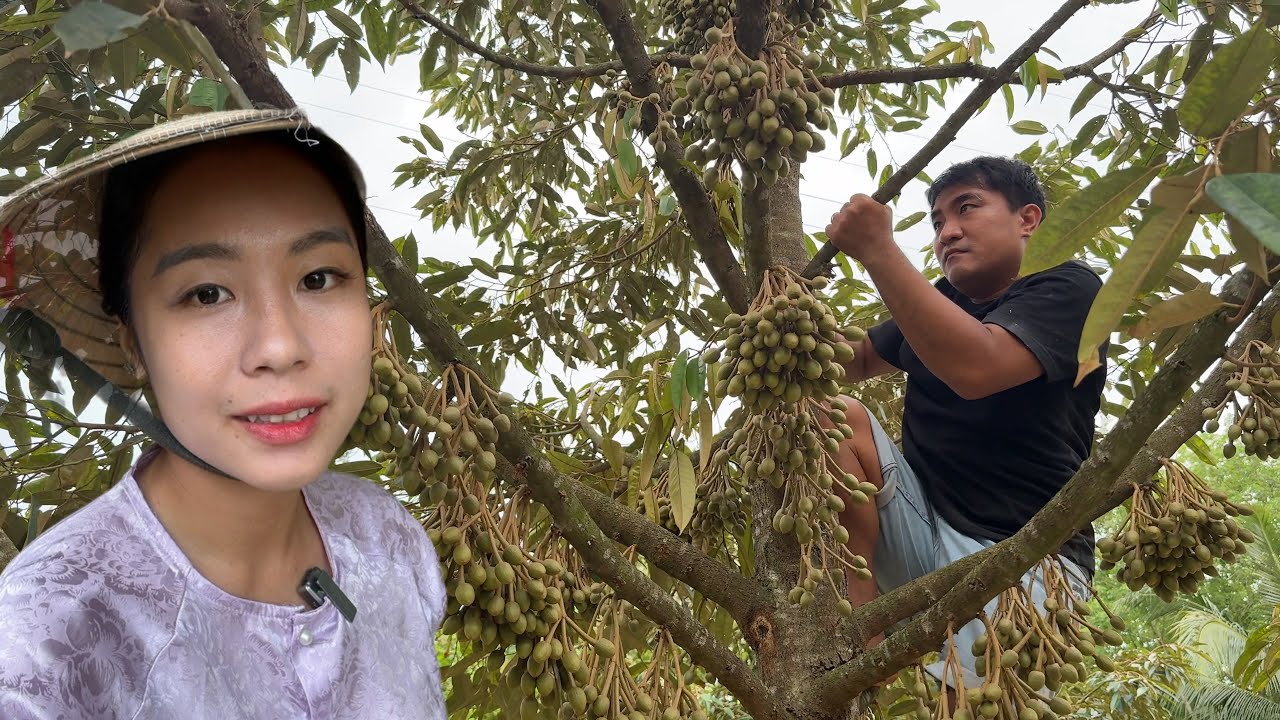 VÌ LÝ DO NÀY PHẢI LẶT BỎ BÔNG SẦU RIÊNG CÚNG VÍA THẦN TÀI BẤT NGỜ GIÁ VÀNG TĂNG QUÁ CAO | TNCM 