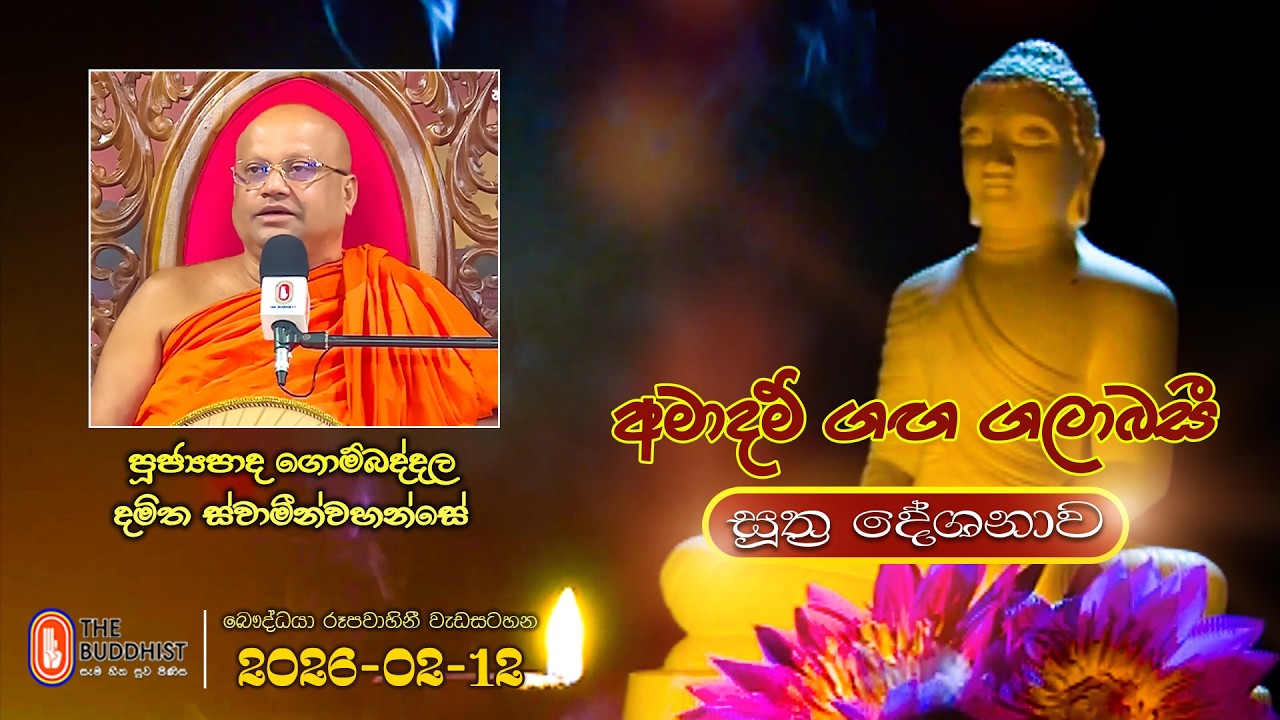 Ven Gombaddala Damitha Thero | 2026-02-12 | 04:00PM (සූත්‍ර දේශනාව)