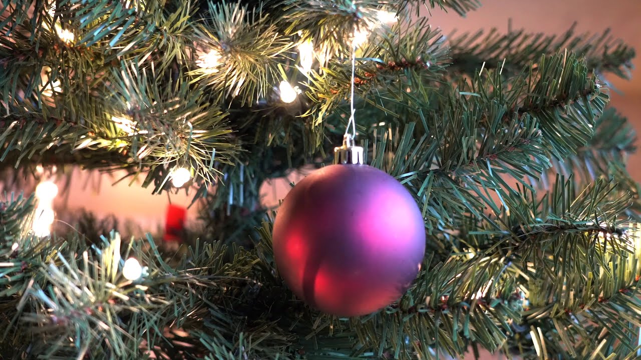 12 DAYS OF GIVEAWAYS! HAPPY HOLIDAYS!