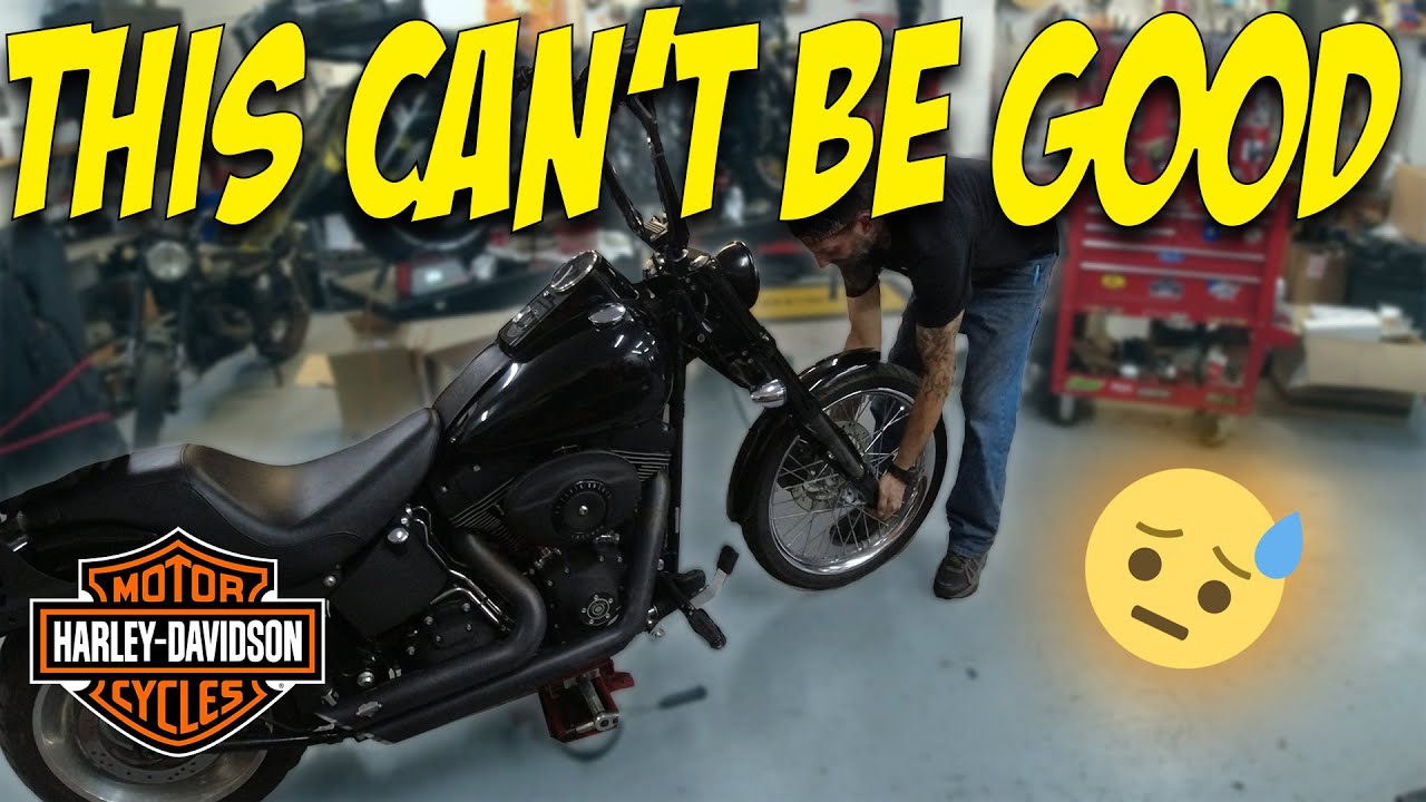 Uncovering the TRUTH about my Harley Davidson Night Train...