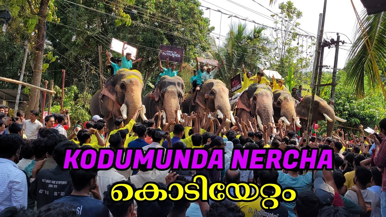 കൊടുമുണ്ട 69ആമത് നേർച്ച ദേശോത്സവം കൊടിയേറ്റ കാഴ്ച്ചകൾ..💚 #nercha #aana #krishnakdm