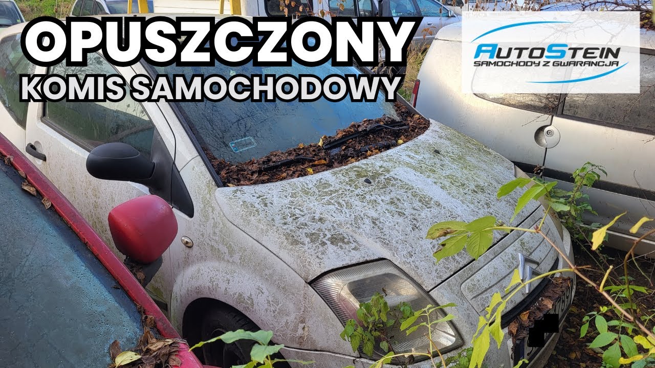 Komis samochodowy - o kt&oacute;rym zapomniał świat! // AutoStein - Program motoryzacyjny