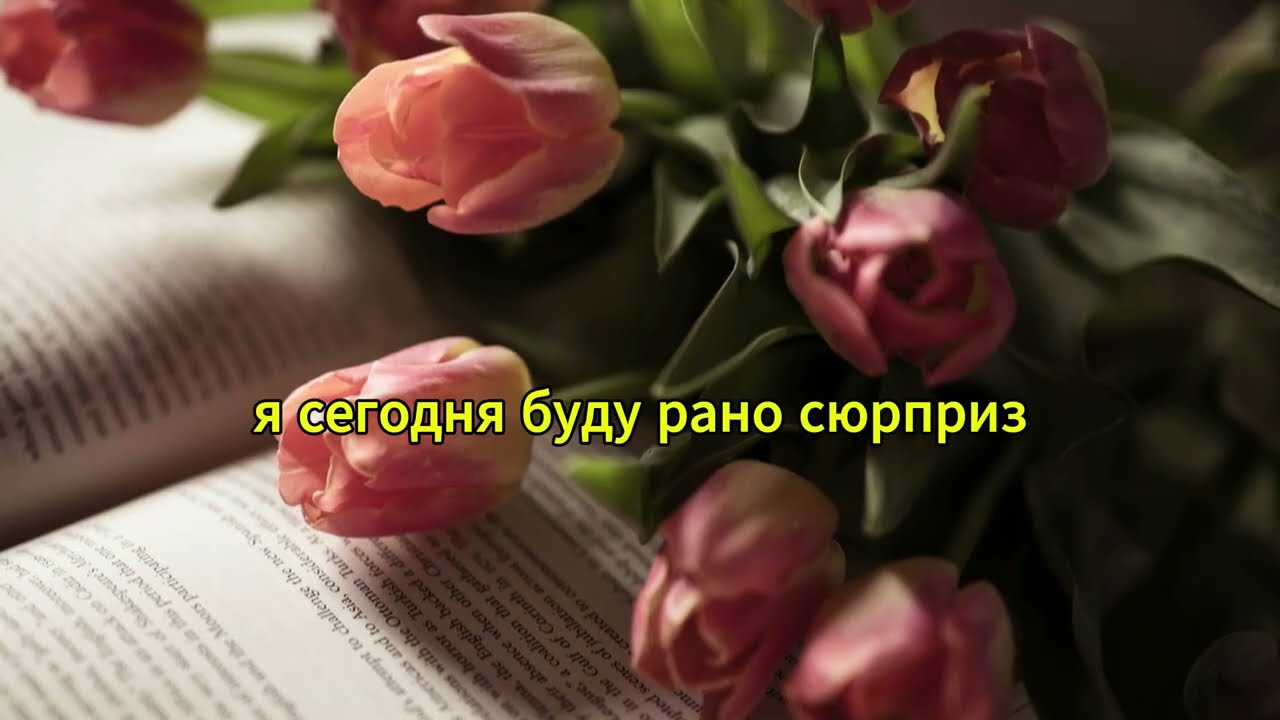 «Зятёк, действуй…» — тихо сказала тёща, когда мы остались наедине