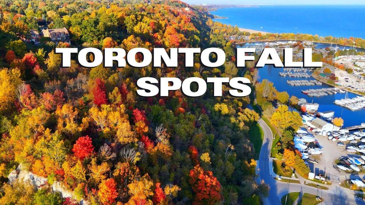 Toronto Fall Colours 2025 🍁 Best Places to See Autumn Leaves