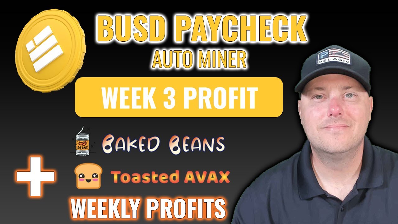 BUSD Paycheck Week 3 Update + Toasted Avax | Baked Beans | How Much I Made - Miner Calculator