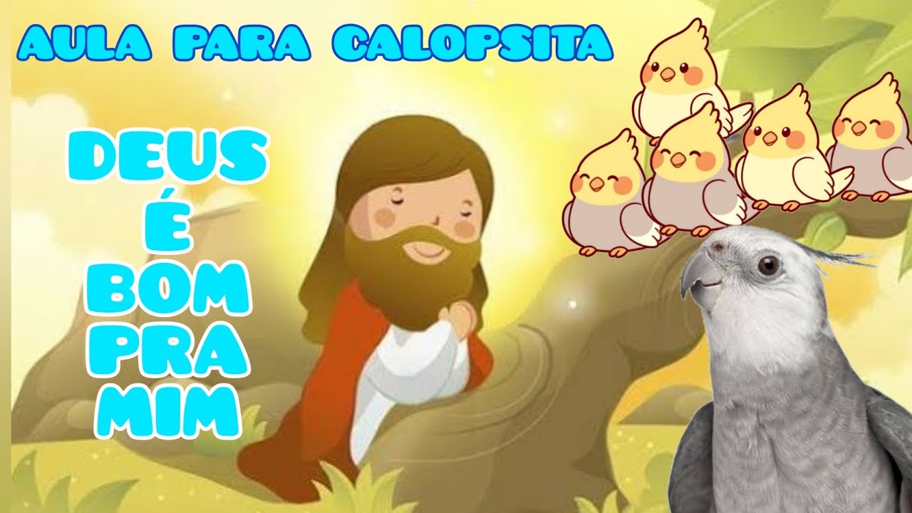 Calopsita falando Deus &eacute; bom pra mim [15 minutos de treino para ensinar sua calopsita a falar]