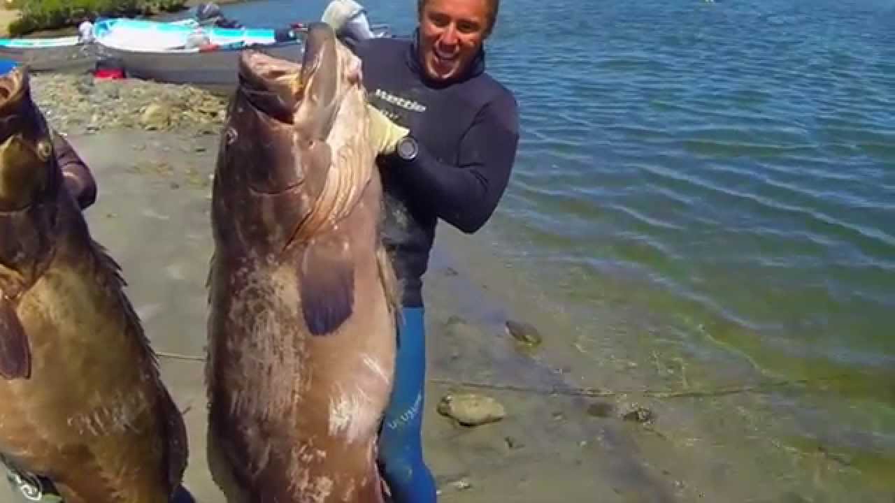 Spearfishing Mexico - Palapas Ventana