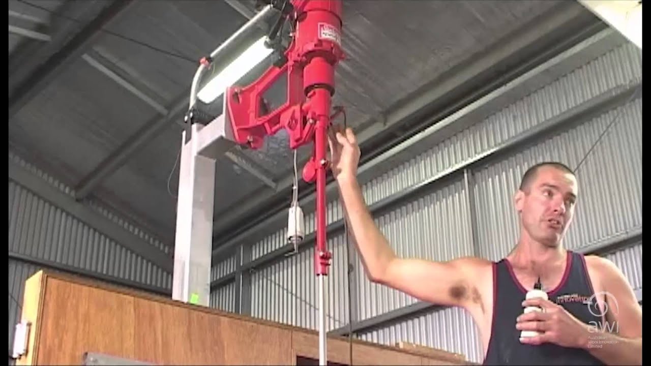 AWI Novice -  Equipment - Overhead Gear