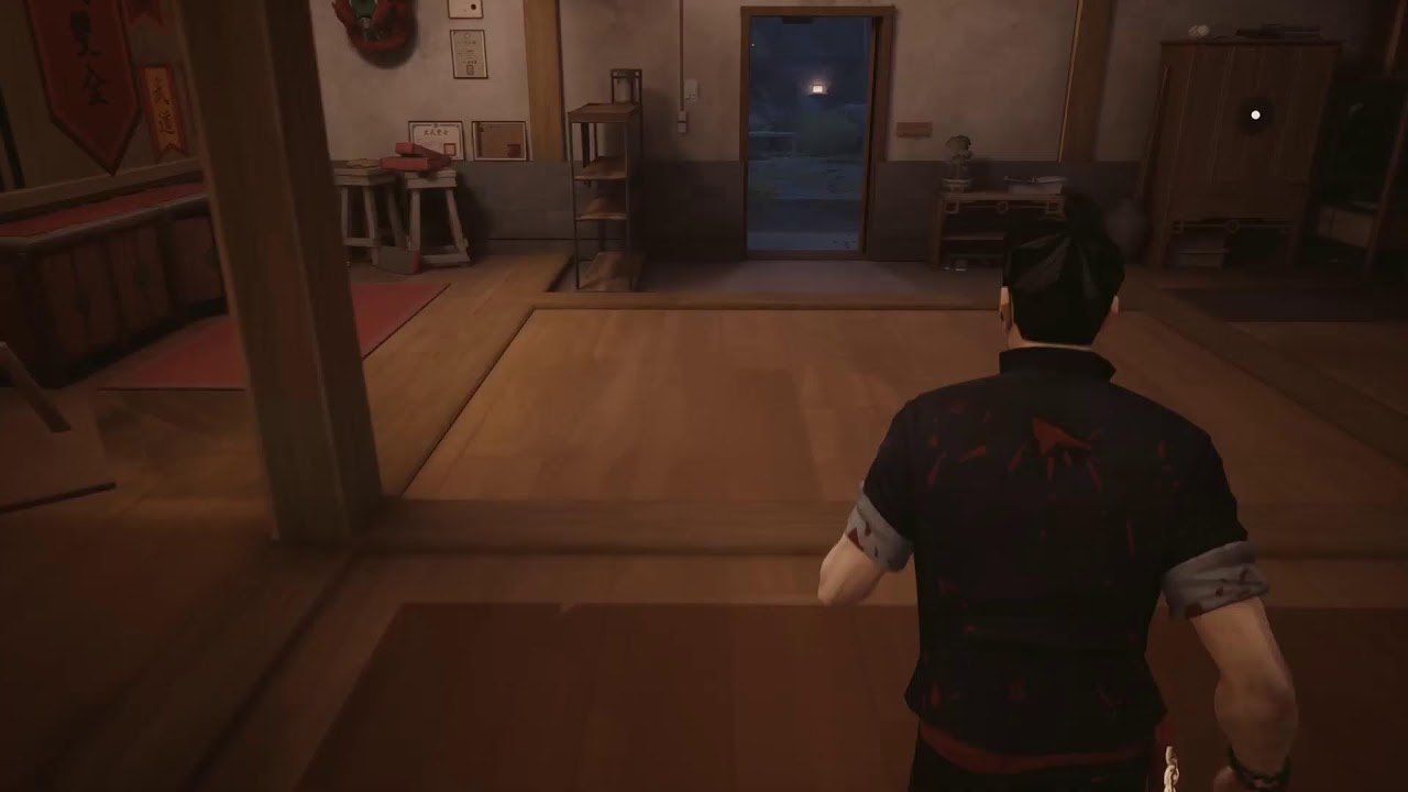 Sifu Video 9