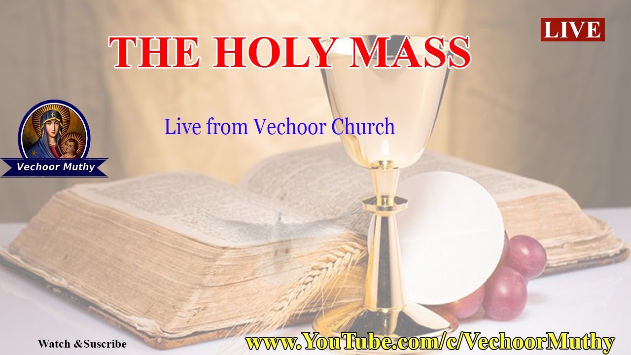 Sunday Holy Mass Malayalam  by Fr. George Nereveettil (21.06.2020)