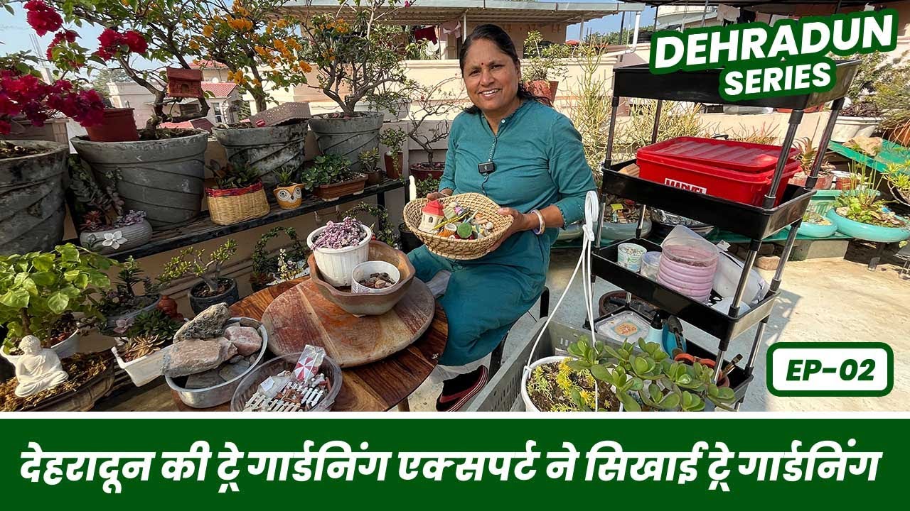 देहरादून की एक्सपर्ट से सीखे ट्रे गार्डनिंग की बारीकियां 🥰 Tray Gardening Step by Step Tutorial 🪴