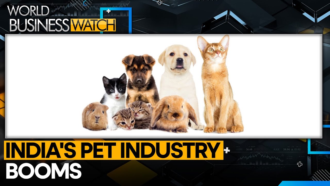 India's pet industry unleash billion dollar market | World Business Watch | WION