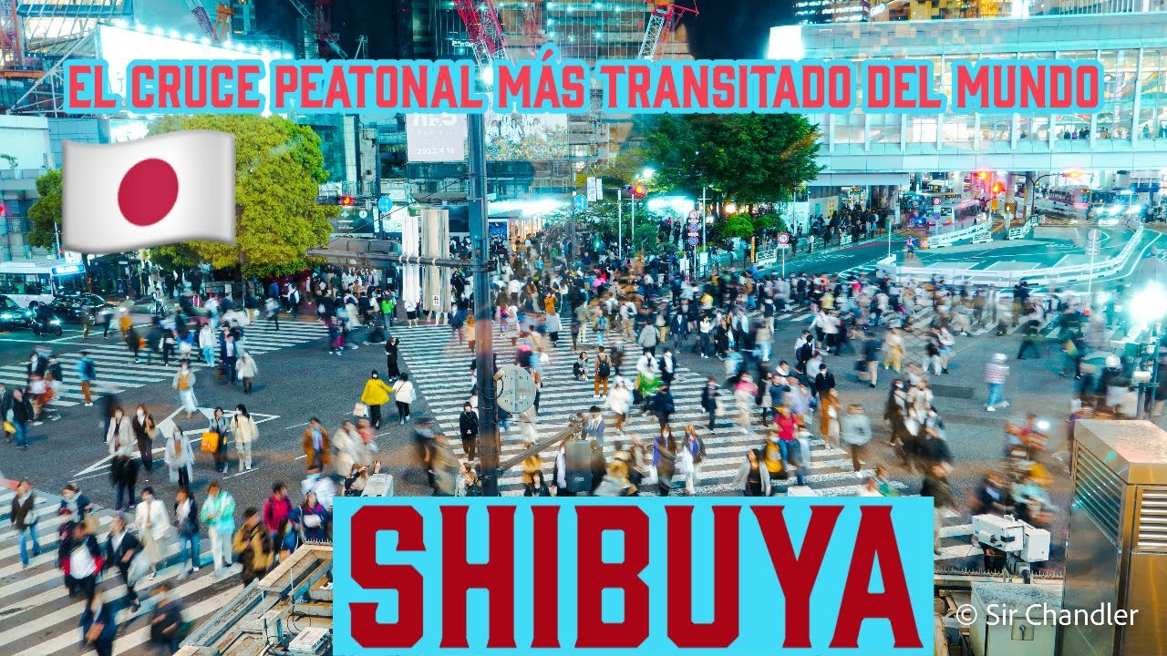 SHIBUYA: EL CRUCE PEATONAL 🚶🏻‍♀️🚶🏼🚶🏽‍♂️ MÁS TRANSITADO DEL MUNDO ESTÁ EN JAPÓN  🇯🇵
