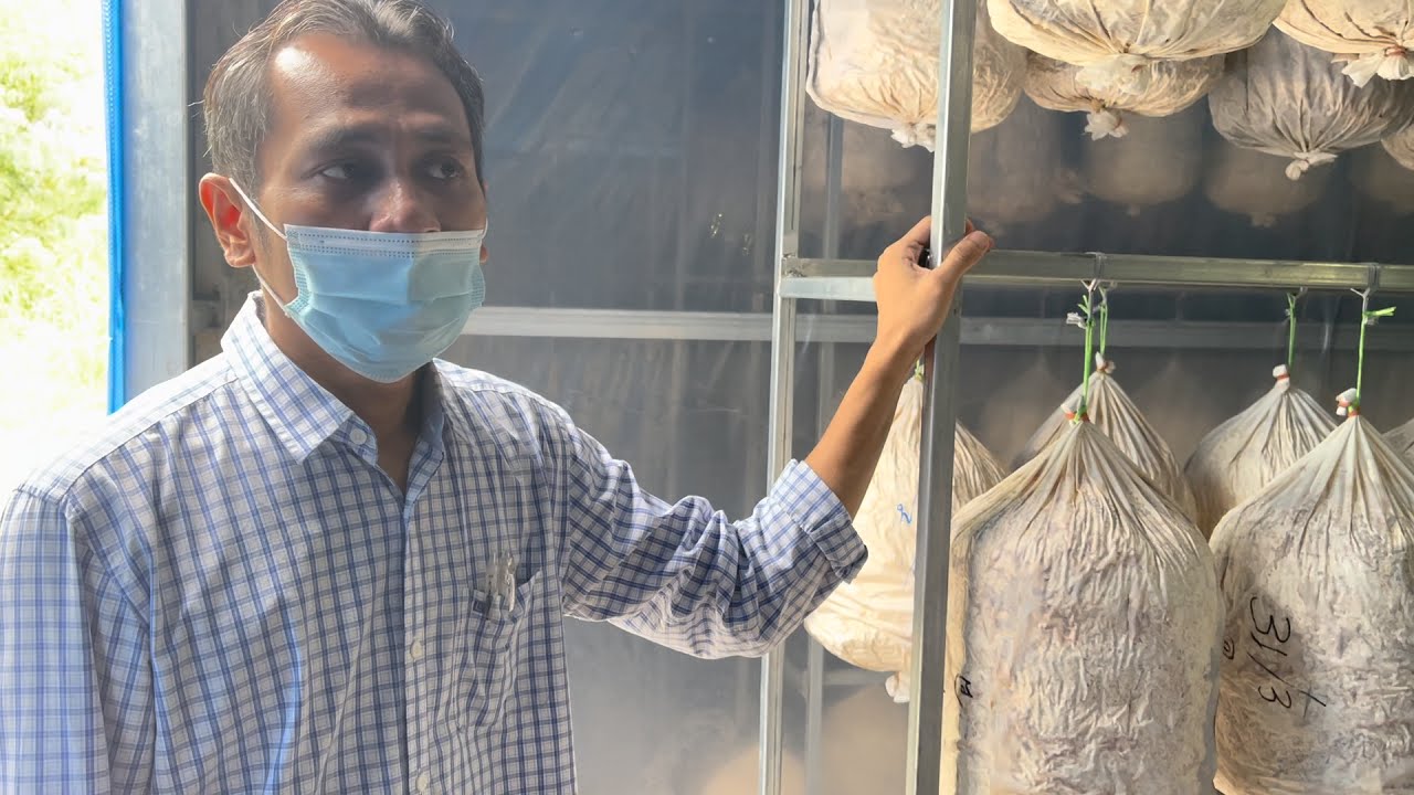 โรงเรือนเห็ดแบบปิด ควบคุม อุณหภูมิและความชื้น