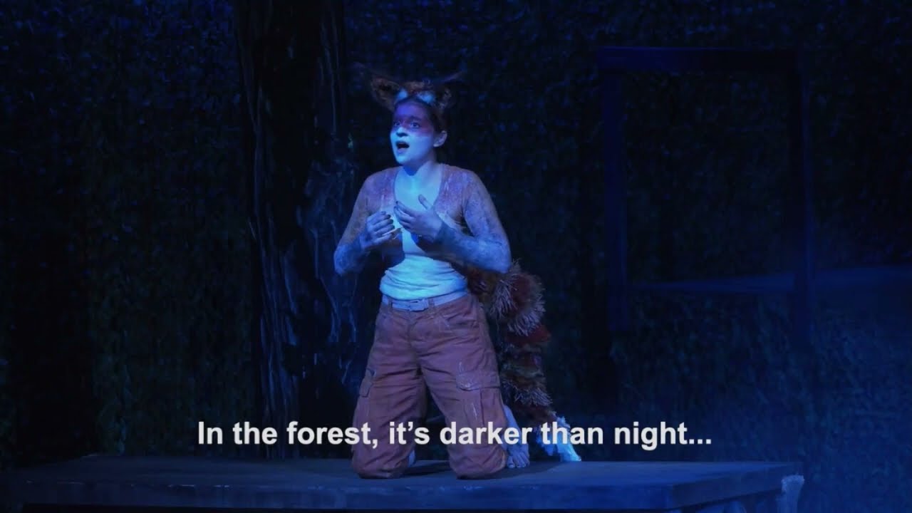 Vixen's aria from Janáček's 
