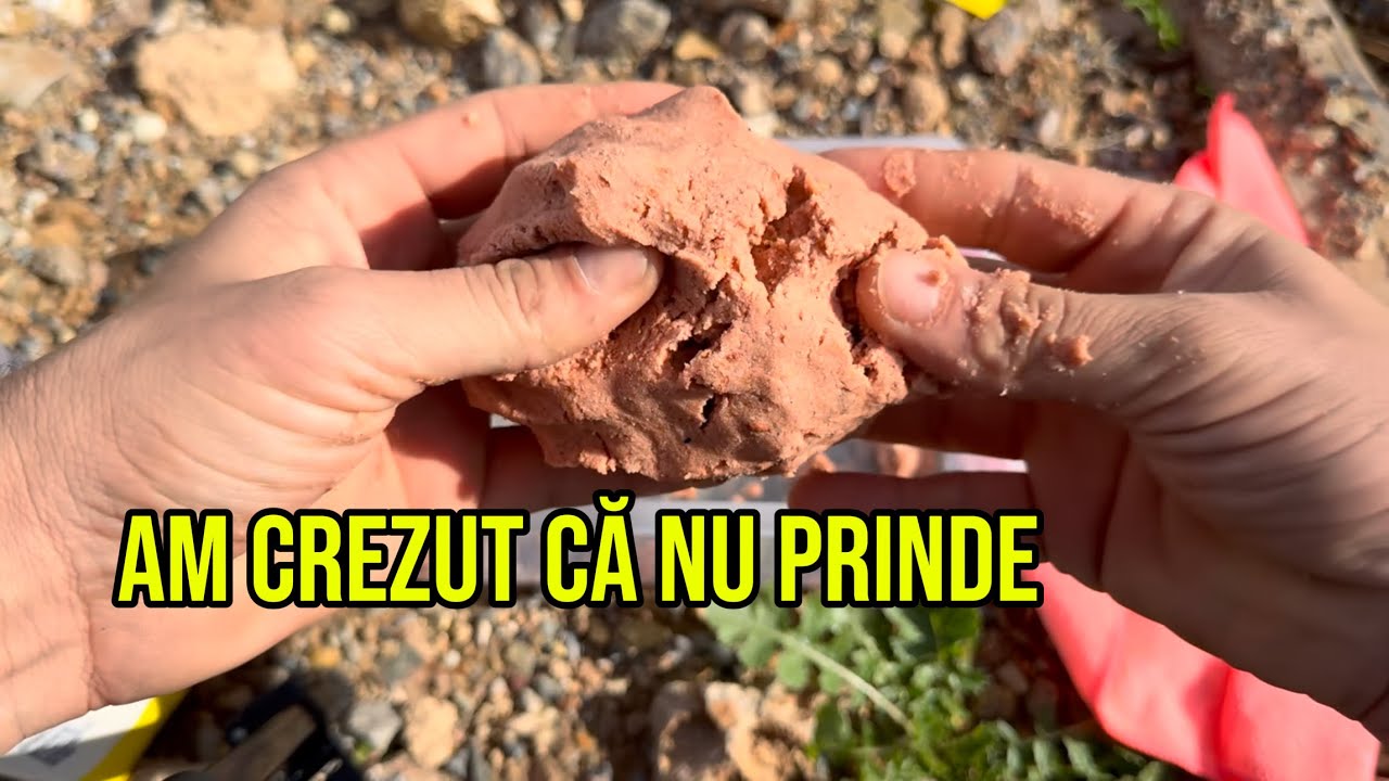 🔥 MOMEALĂ SIMPLĂ DAR EFICIENTĂ pentru cârlig și nadă la plută! 🔥
