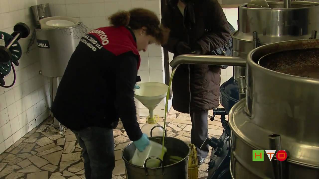 Extra-Virgin Olive Oil - Frantoio A.M.A. 2000 - www.HTO.tv