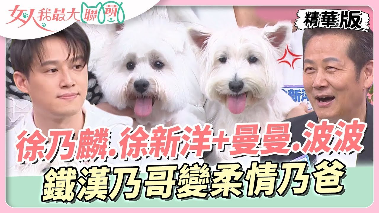 徐乃麟、徐新洋+曼曼、波波！鐵漢乃哥變柔情乃爸！家裡的電梯都是＂曼波＂在坐？ 女人我最大【 #萌寵明星粗乃玩 】