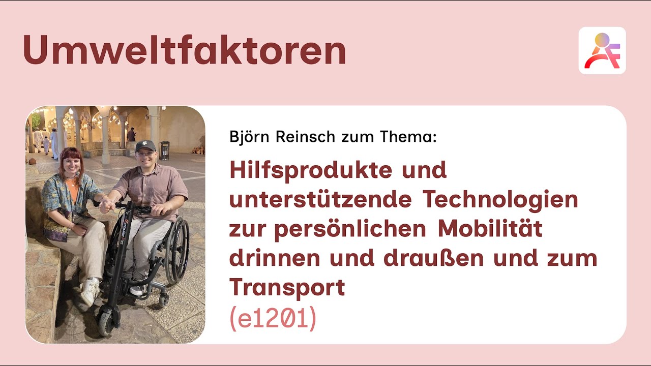 ICF! Umweltfaktoren (e1201): Björn