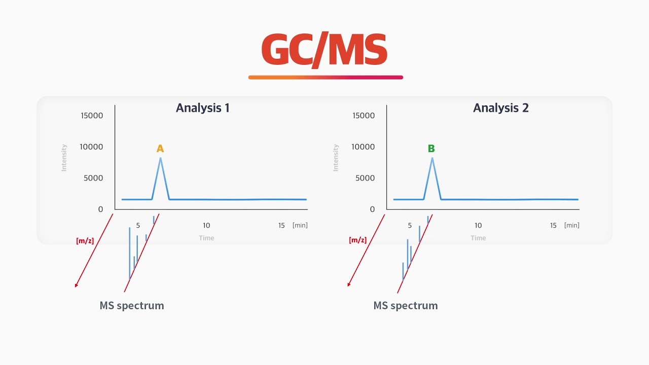 What is a GC-MS for?
