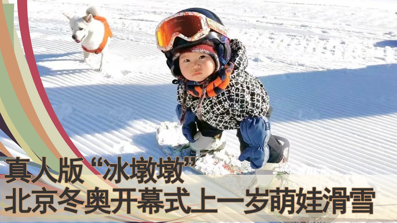 真人版“冰墩墩”：冬奥会开幕式上的一岁萌娃，一人滑雪一狗相伴实力圈粉。路还不会走，就先会滑雪了