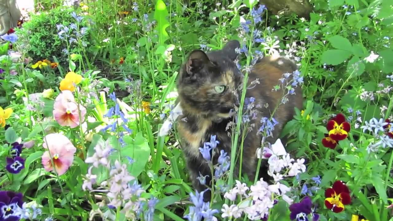 Neck Deep - Studio diary (Drums)