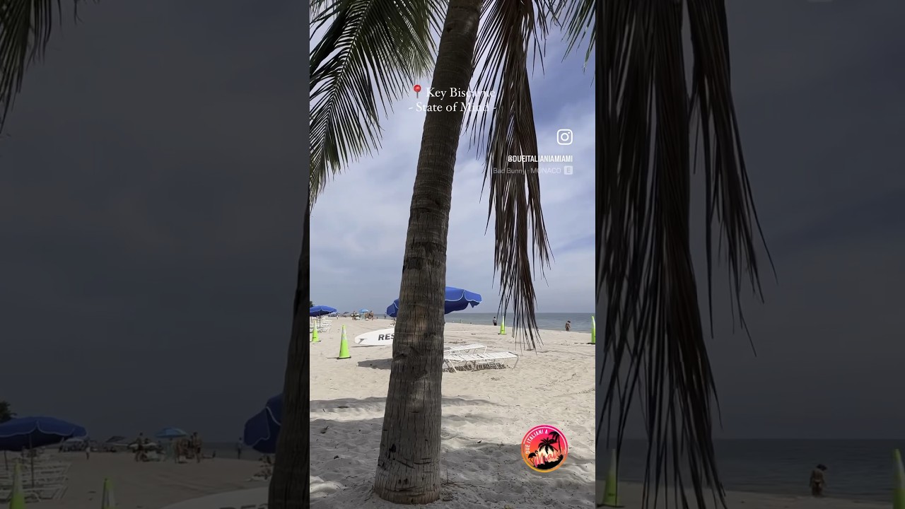 Escape to Paradise: A Perfect Sunday at Crandon Park Beach, Miami