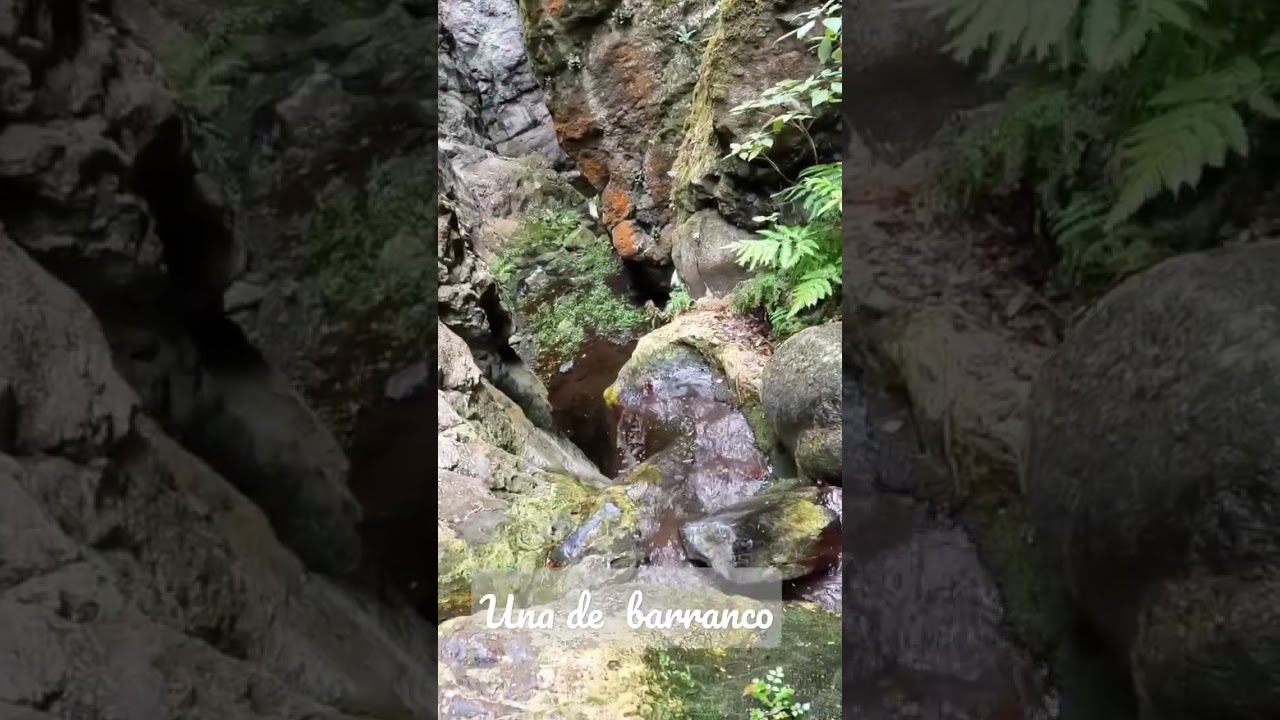 Pon un barranco de agua en tu vida