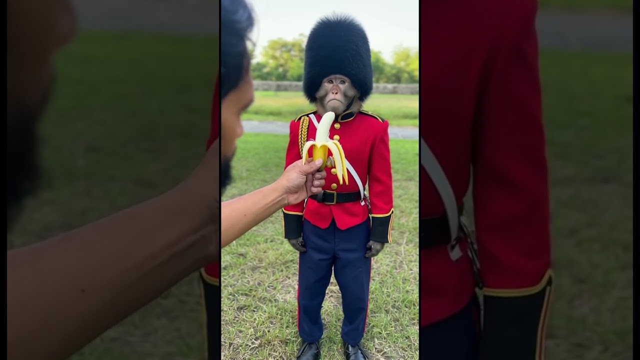 Even Royal Guards can't resist Bananas! 🍌💂‍♂️ 