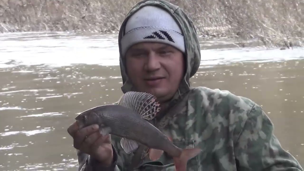Тайга Поймал КРУПНОГО ХАРИУСА Рыбалка Охота Сибирь Бушкрафт Хариус