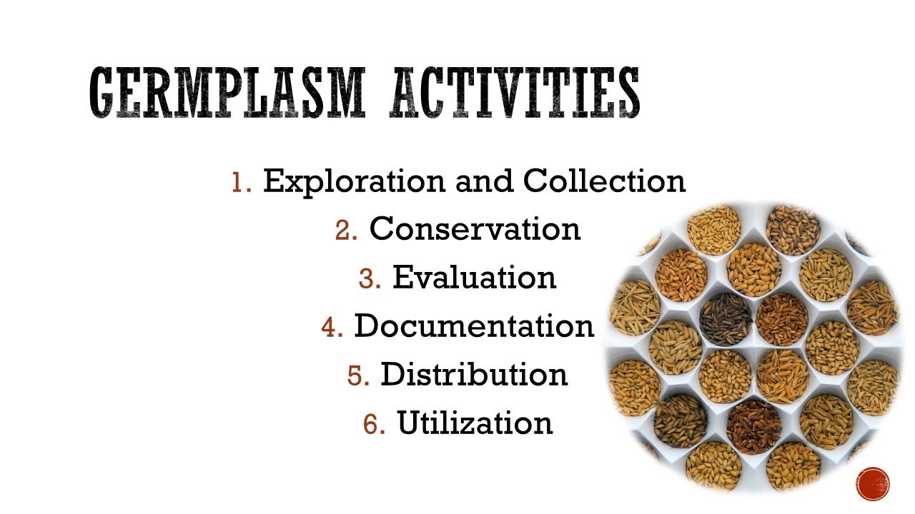 Germplasm Activities - Plant Genetic Resources