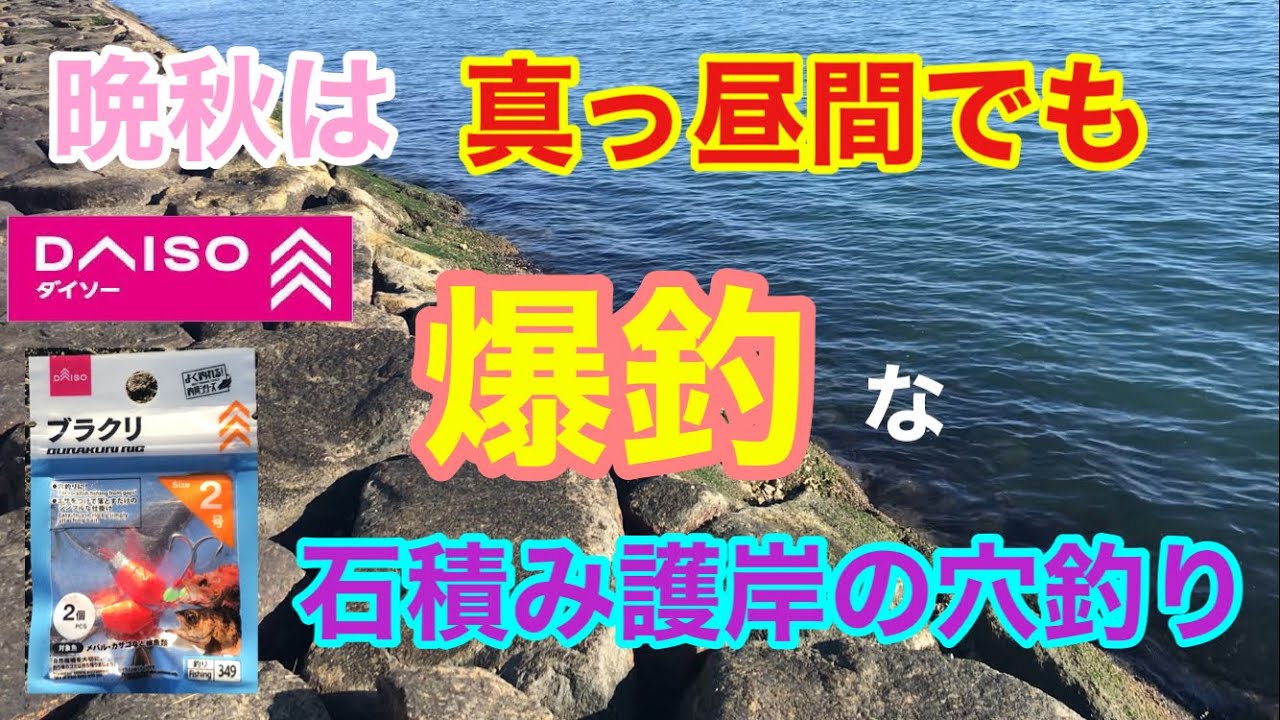 晩秋は真っ昼間でも爆釣な石積み護岸の穴釣り 知多半島