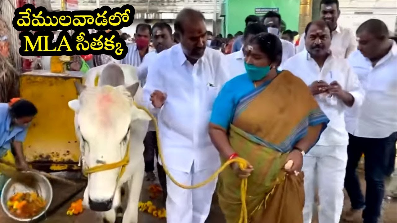 MLA Seethakka Visit Vemulawada Temple | Revanth Reddy | Telangana Congress | Cinema Garage