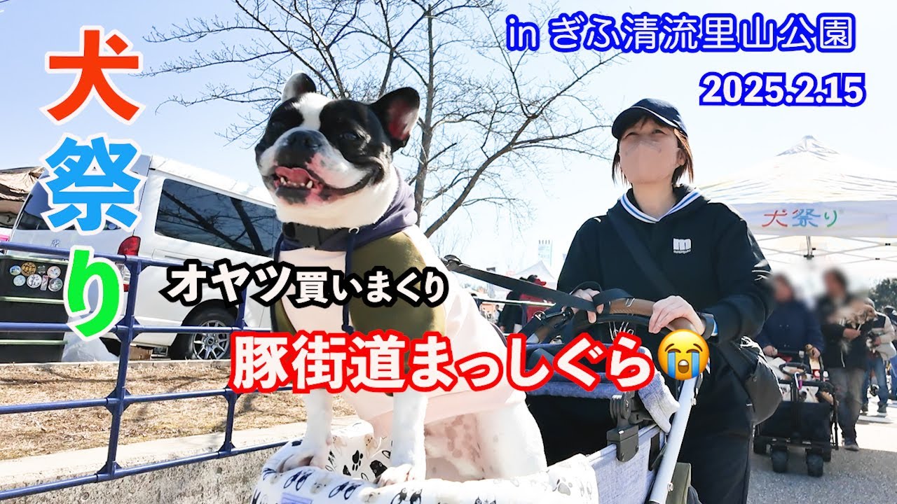 『犬祭り 2025年2月 in ぎふ清流里山公園！』大盛況犬祭り愛犬と参戦したらダイエット大失敗💣