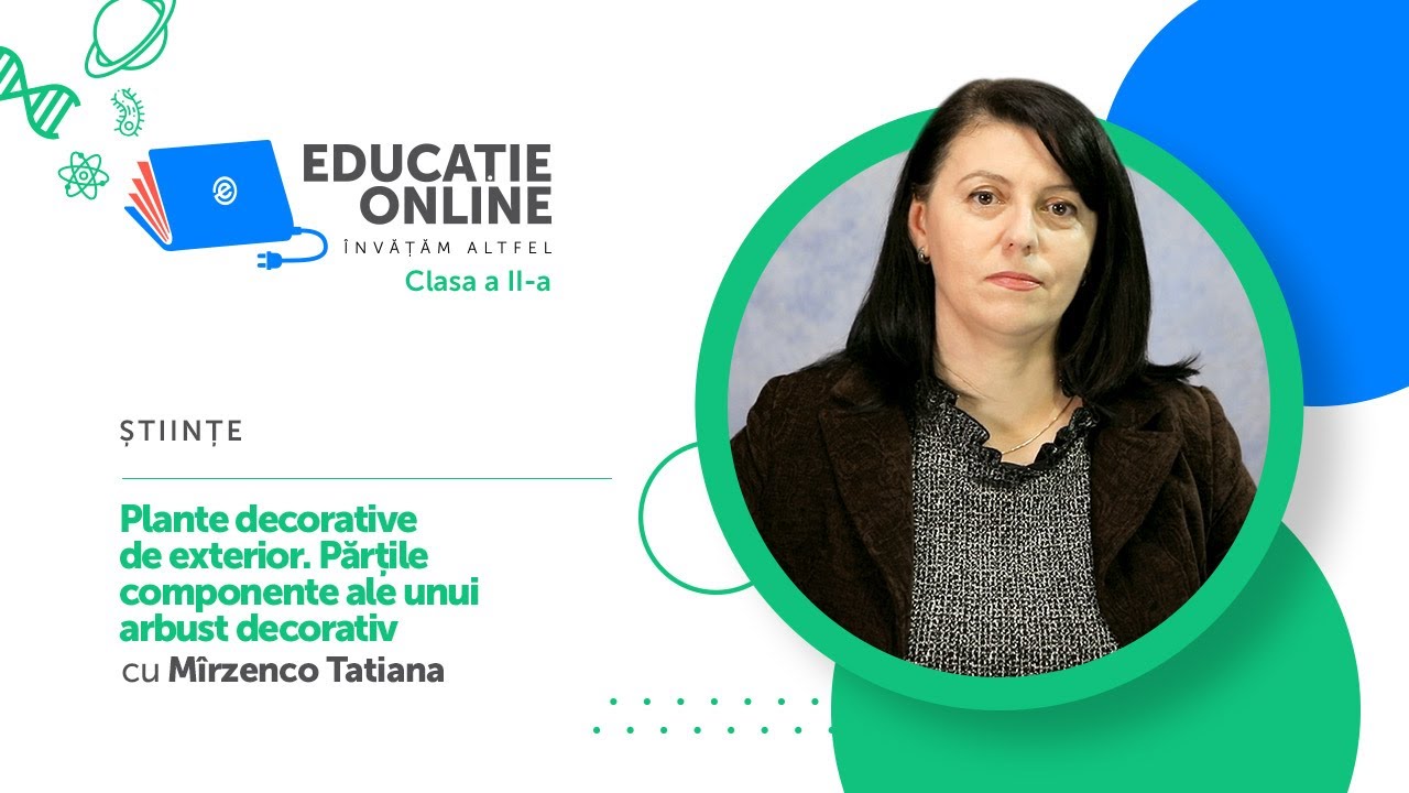Științe, Clasa a II-a, Plante decorative de exterior. Părțile componente ale unui arbust decorativ