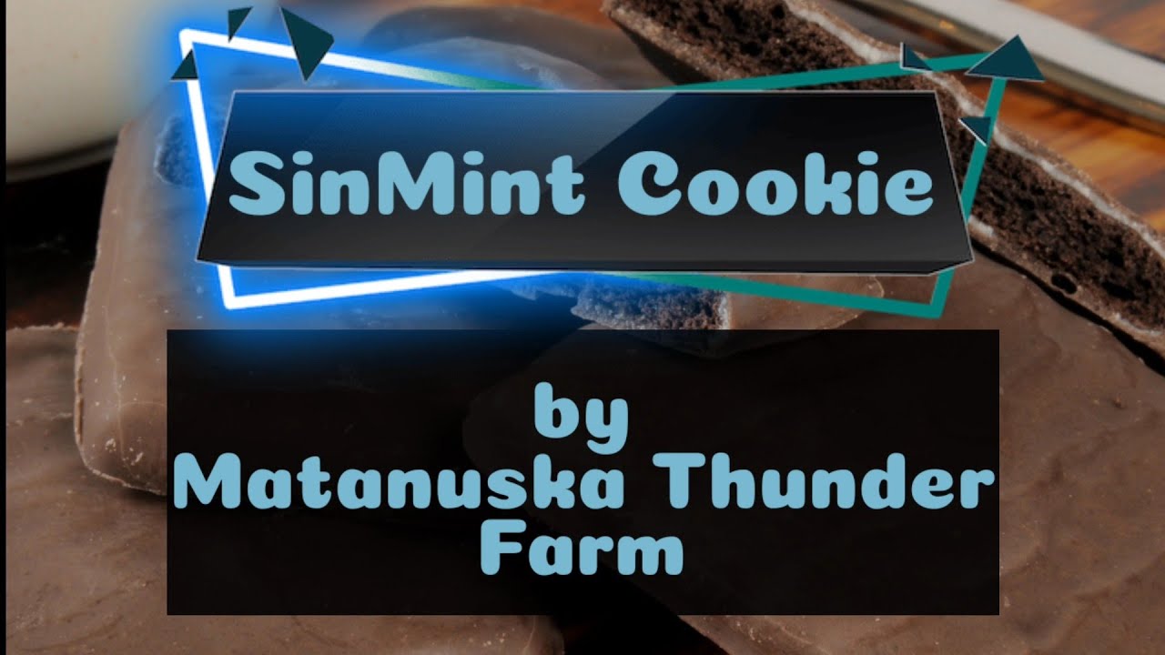 SinMint Cookie Strain Review