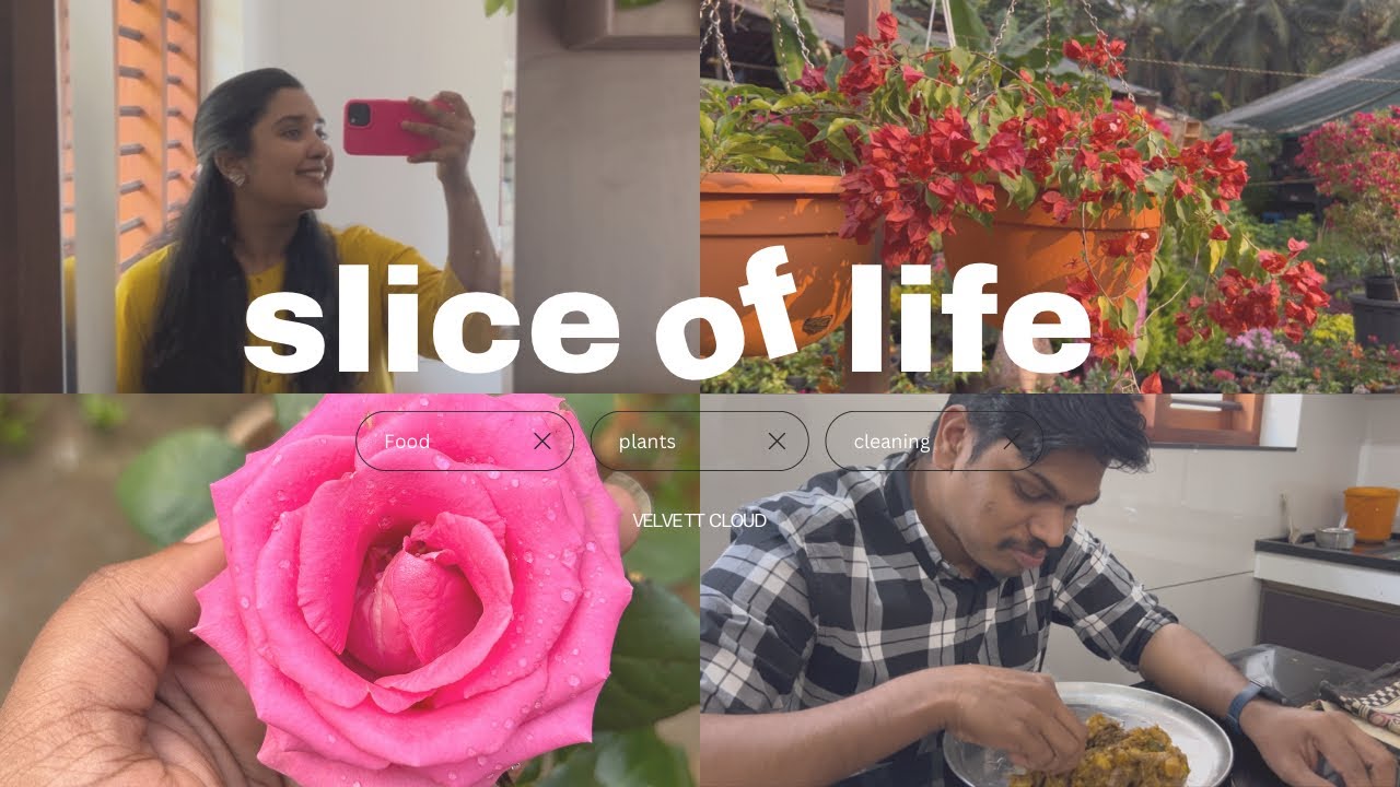 Sunday Vlog🌸🍃|A Day In My life🍃💗