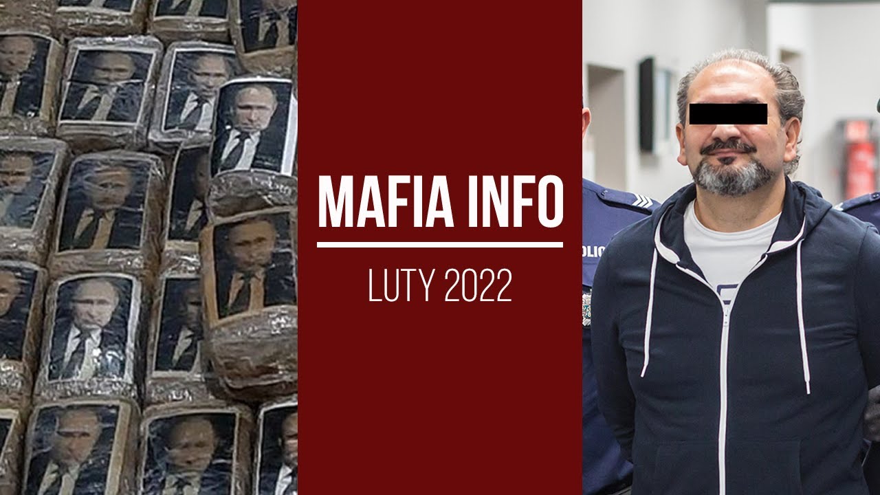 MAFIA INFO #14: KRÓLOWIE PRZEMYTU|MAFIA WNUCZKOWA|BELGIJSKI BOSS SCHWYTANY| INNE