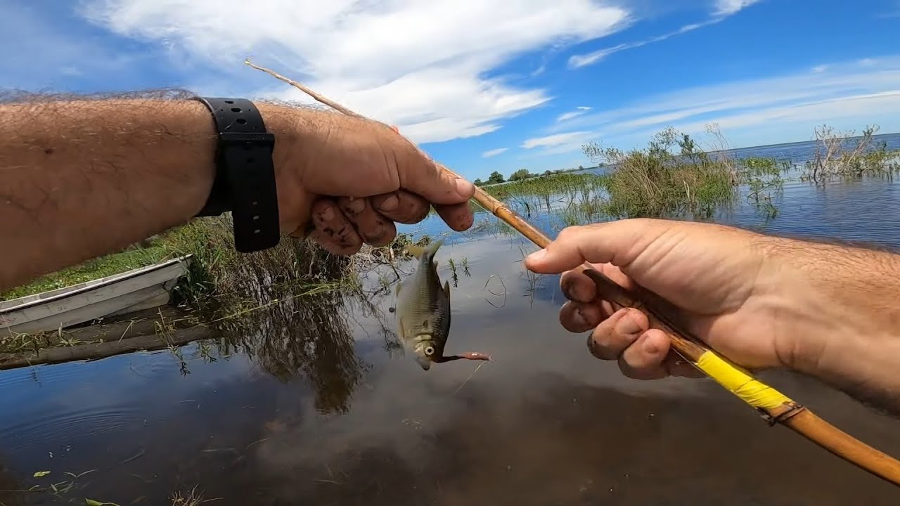 Pesca en primera persona en las islas. PESCA URBANA
