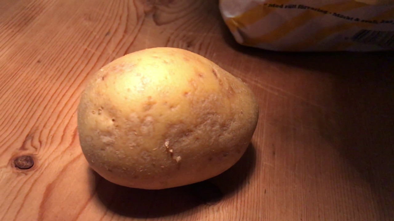 Groningsh&auml;mare - odla potatis - Varf&ouml;r inte anv&auml;nda en &auml;tpotatis till s&auml;ttpotatis Odlingsdagboken