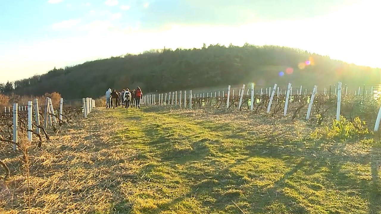 CAUE - Mont Brouilly