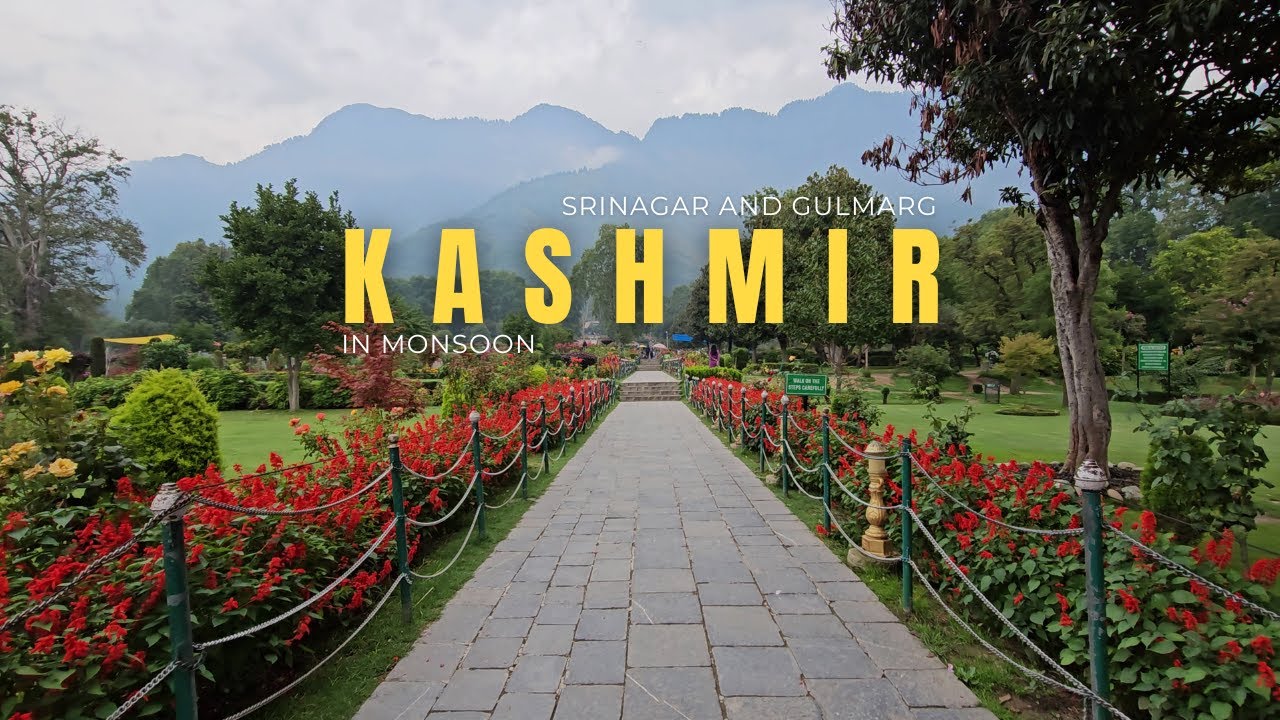 Discover Kashmir in Monsoon | Srinagar and Gulmarg travel vlog  | Places to visit