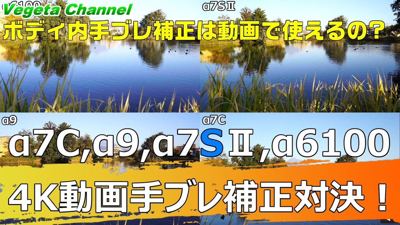 SONY &alpha;7C,&alpha;9,&alpha;7SⅡ,&alpha;6100 4K動画手ブレ補正対決！（4K）